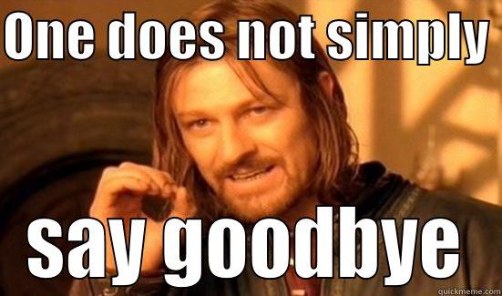 ONE DOES NOT SIMPLY  SAY GOODBYE Boromir