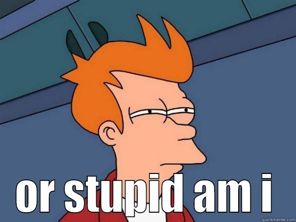  OR STUPID AM I Futurama Fry