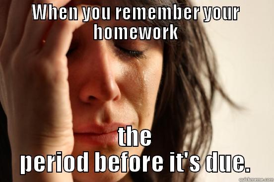 WHEN YOU REMEMBER YOUR HOMEWORK THE PERIOD BEFORE IT'S DUE. First World Problems
