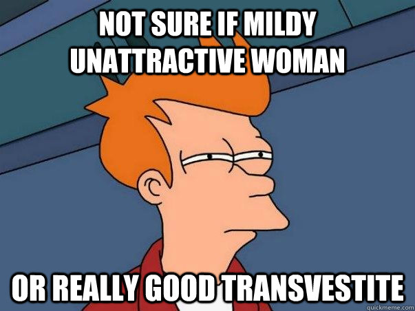 not sure if mildy unattractive woman or really good transvestite - not sure if mildy unattractive woman or really good transvestite  fry not sure