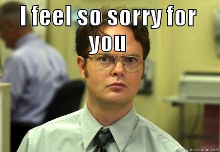 google meme - I FEEL SO SORRY FOR YOU  Schrute