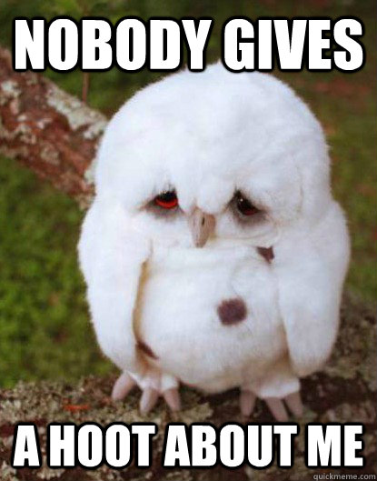 nobody gives A hoot about me  - nobody gives A hoot about me   Depressed Owl