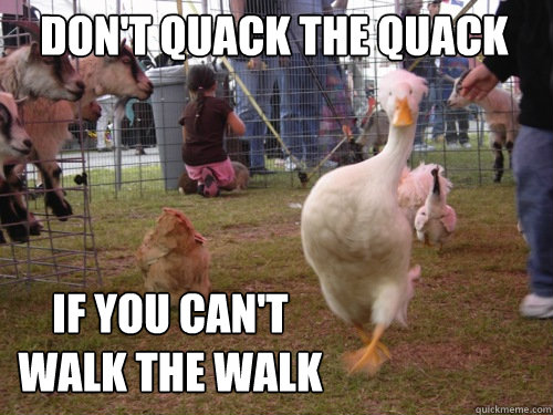 DON'T QUACK THE QUACK IF YOU CAN'T WALK THE WALK  SWAN SWAG