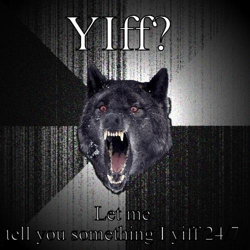 YIFF? LET ME TELL YOU SOMETHING I YIFF 24/7 Insanity Wolf