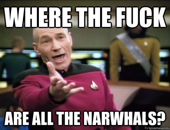 where the fuck are all the narwhals?  Annoyed Picard HD