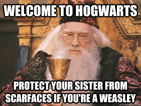 Welcome to Hogwarts Protect your sister from scarfaces if you're a weasley  Drew Dumbledore
