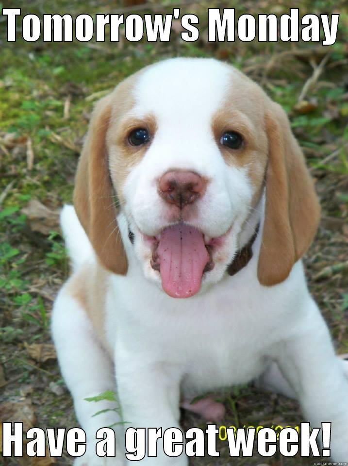 happy beagle - TOMORROW'S MONDAY   HAVE A GREAT WEEK!  Misc