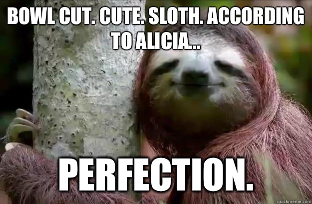 Bowl cut. Cute. Sloth. According to Alicia... PERFECTION.  Satisfied Sloth