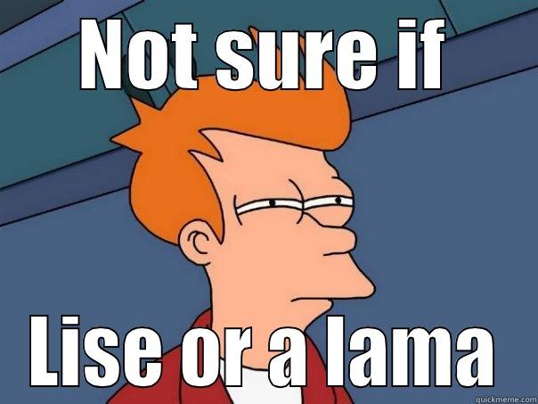 NOT SURE IF LISE OR A LAMA Futurama Fry