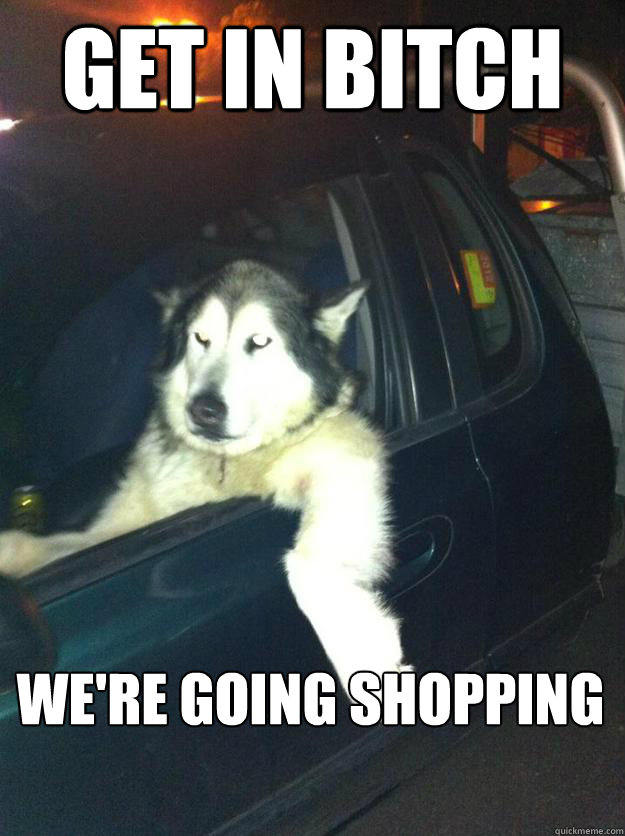 Get in bitch we're going shopping  Mean Dog