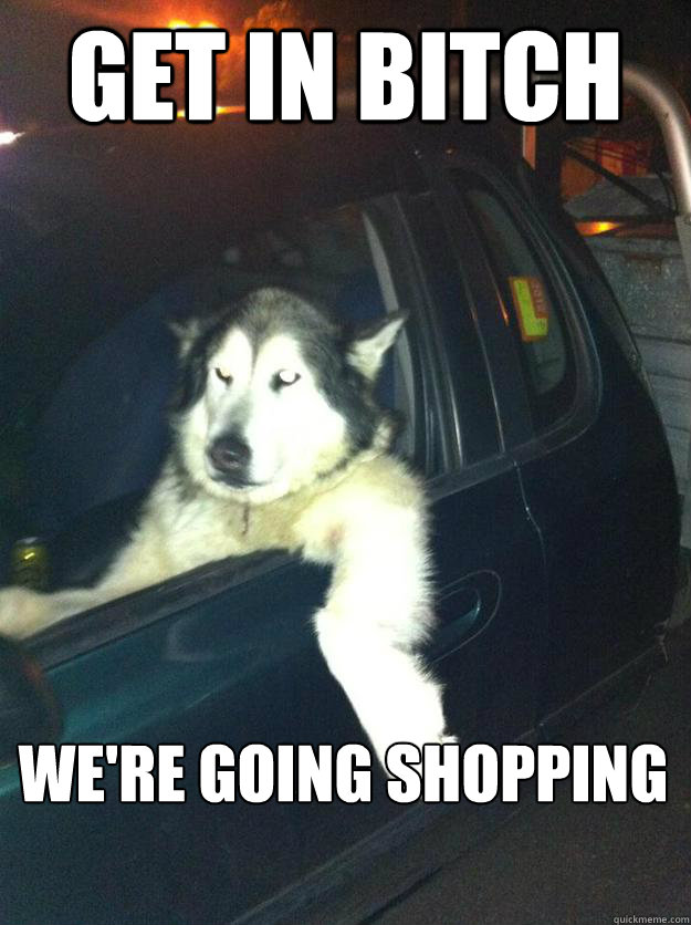 Get in bitch we're going shopping - Get in bitch we're going shopping  Mean Dog