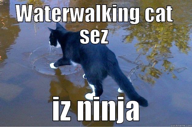 WATERWALKING CAT SEZ  IZ NINJA Jesus Cat