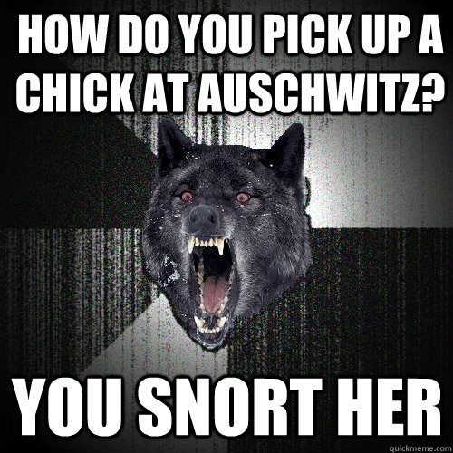 how do you pick up a chick at auschwitz? you snort her  Insanity Wolf