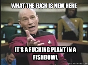 what the fuck is new here it's a fucking plant in a fishbowl  Annoyed Picard