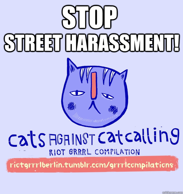 STOP STREET HARASSMENT!  cats against catcalling