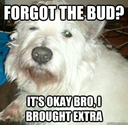 forgot the bud? it's okay bro, i brought extra  