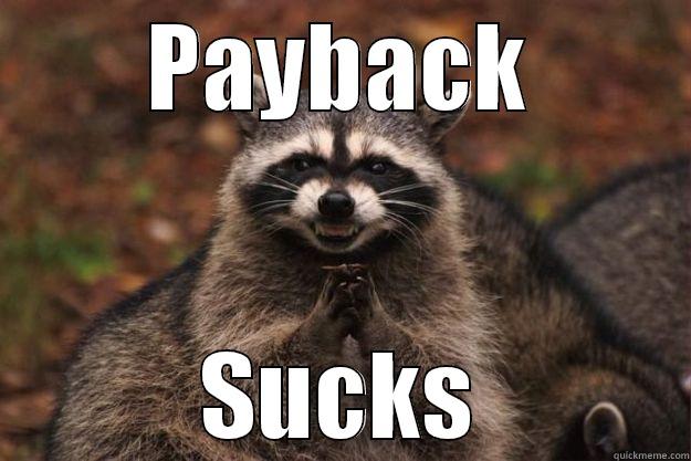 PAYBACK SUCKS Evil Plotting Raccoon