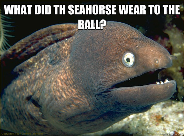 What did th seahorse wear to the ball?  - What did th seahorse wear to the ball?   Bad Joke Eel