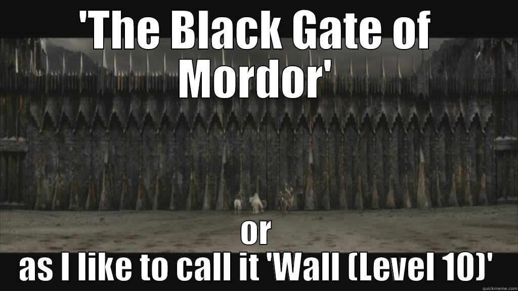 'THE BLACK GATE OF MORDOR' OR AS I LIKE TO CALL IT 'WALL (LEVEL 10)' Misc