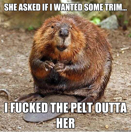 She asked if I wanted some trim... I fucked the pelt outta her - She asked if I wanted some trim... I fucked the pelt outta her  The Gratuitous Beaver