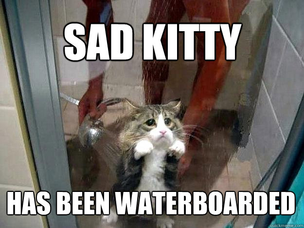 Sad Kitty Has been waterboarded  Shower kitty