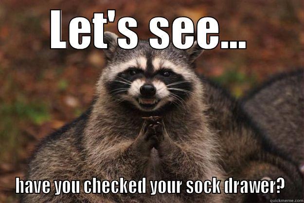 LET'S SEE... HAVE YOU CHECKED YOUR SOCK DRAWER? Evil Plotting Raccoon