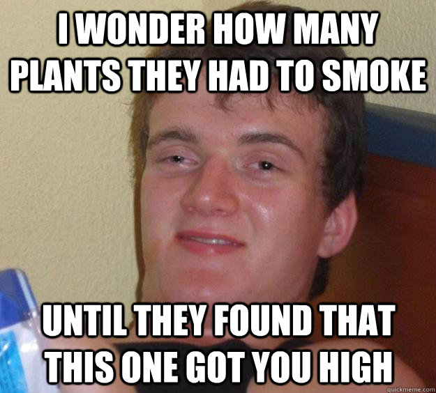 I wonder how many plants they had to smoke until they found that this one got you high - I wonder how many plants they had to smoke until they found that this one got you high  10 Guy