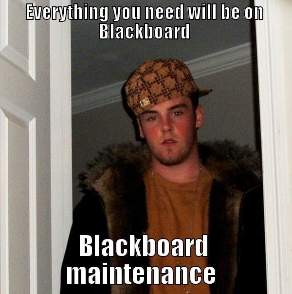 EVERYTHING YOU NEED WILL BE ON BLACKBOARD BLACKBOARD MAINTENANCE  Scumbag Steve