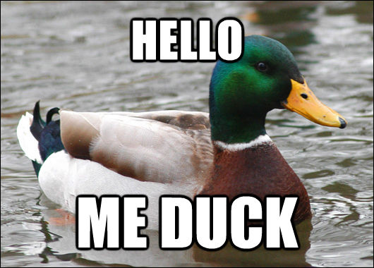 HELLO
 ME DUCK  Actual Advice Mallard