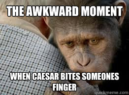 the awkward moment when caesar bites someones finger - the awkward moment when caesar bites someones finger  caesar meme