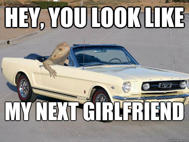 Hey, you look like my next girlfriend
 - Hey, you look like my next girlfriend
  Pickup Dragon