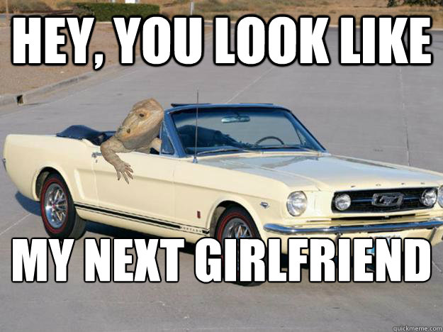 Hey, you look like my next girlfriend
  Pickup Dragon