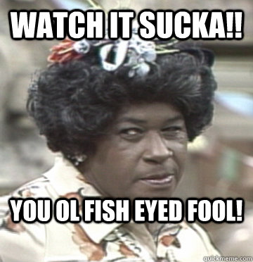 WATCH IT SUCKA!! You ol Fish Eyed Fool!   Aunt Esther