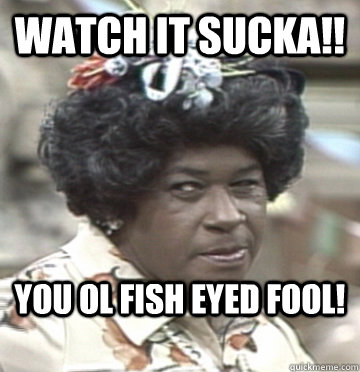 WATCH IT SUCKA!! You ol Fish Eyed Fool!  - WATCH IT SUCKA!! You ol Fish Eyed Fool!   Aunt Esther