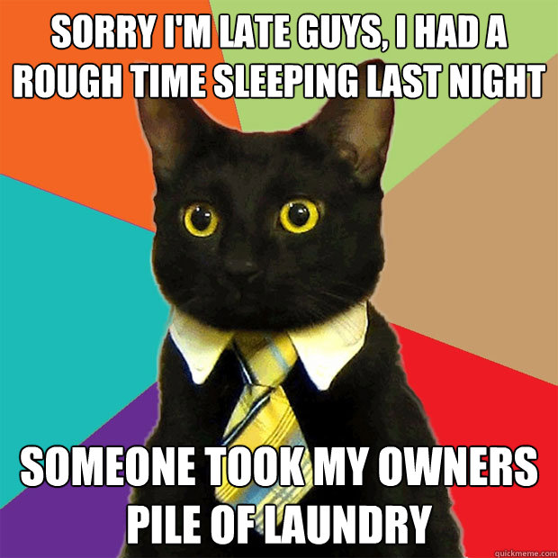 Sorry I'm late guys, I had a rough time sleeping last night someone took my owners pile of laundry - Sorry I'm late guys, I had a rough time sleeping last night someone took my owners pile of laundry  Business Cat