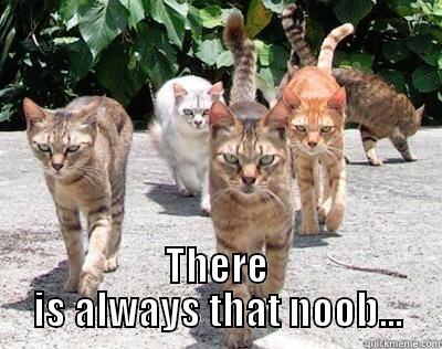  THERE IS ALWAYS THAT NOOB... Misc