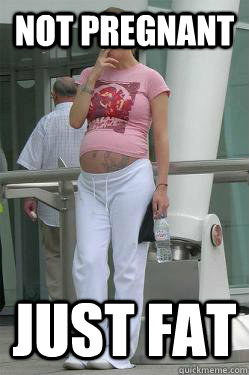 not pregnant just fat - not pregnant just fat  Chav Mum