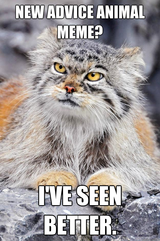 New Advice Animal Meme? I've Seen Better. - New Advice Animal Meme? I've Seen Better.  12 Million Year Old Cat