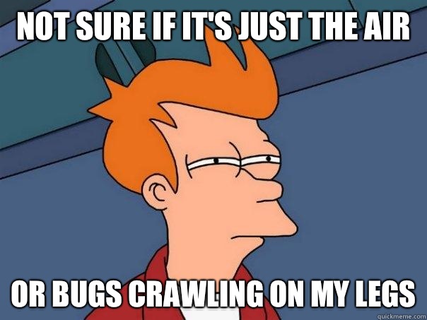 Not sure if it's just the air Or bugs crawling on my legs  Futurama Fry