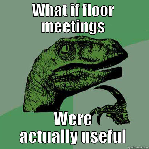 WHAT IF FLOOR MEETINGS WERE ACTUALLY USEFUL Philosoraptor