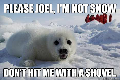 Please Joel, I'm not snow Don't hit me with a shovel.  Clubbing Seal