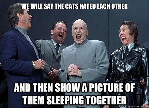 We will say the cats hated each other and then show a picture of them sleeping together  Dr Evil and minions