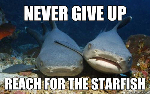 never give up reach for the starfish - never give up reach for the starfish  Compassionate Shark Friend