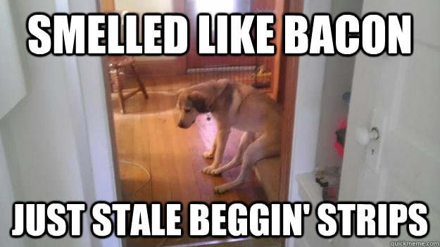 Smelled like bacon Just stale Beggin' Strips - Smelled like bacon Just stale Beggin' Strips  Misc