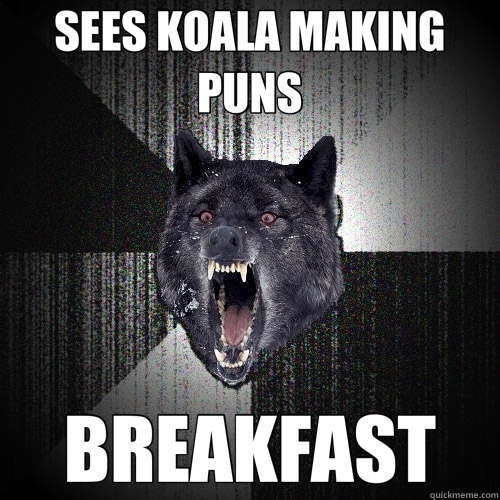 SEES KOALA MAKING PUNS BREAKFAST  Insanity Wolf
