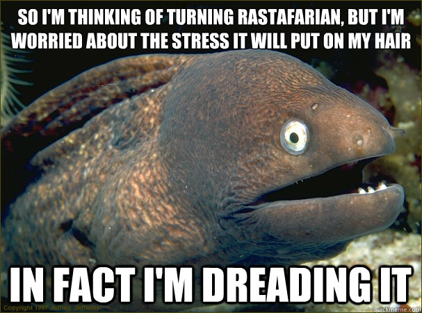So I'm thinking of turning rastafarian, but i'm worried about the stress it will put on my hair In fact I'm dreading it  Bad Joke Eel
