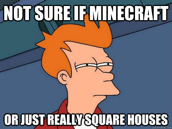 Not sure if minecraft or just really square houses  Futurama Fry