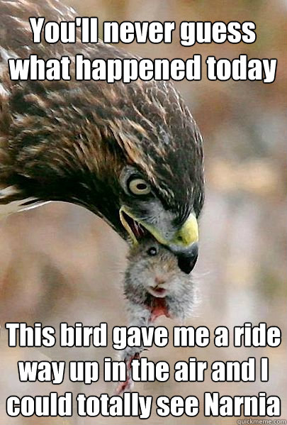 You'll never guess what happened today This bird gave me a ride way up in the air and I could totally see Narnia - You'll never guess what happened today This bird gave me a ride way up in the air and I could totally see Narnia  Positive Attitude Mouse
