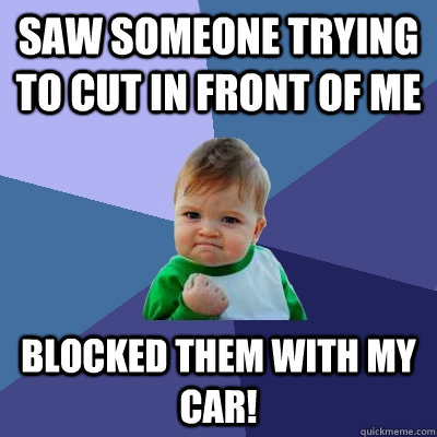 Saw someone trying to cut in front of me Blocked them with my car!  Success Kid
