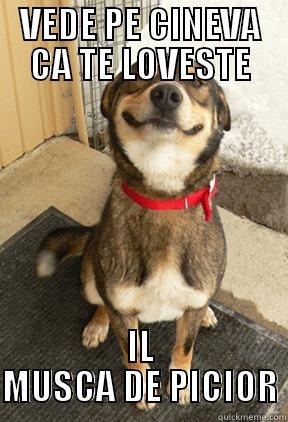 VEDE PE CINEVA CA TE LOVESTE IL MUSCA DE PICIOR Good Dog Greg